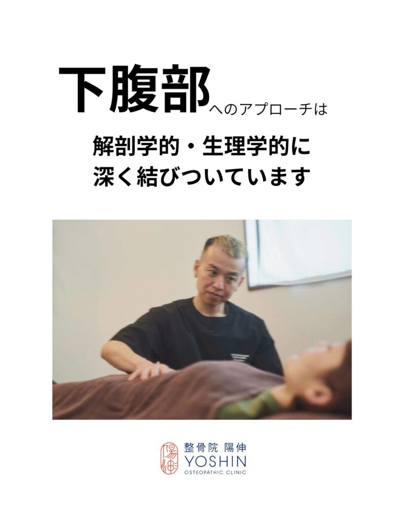 下腹部のケアで、なぜ「婦人科トラブル・むくみ・腰痛」が一緒に楽になるの? 1 下腹部のケアで、なぜ「婦人科トラブル・むくみ・腰痛」が一緒に楽になるの?