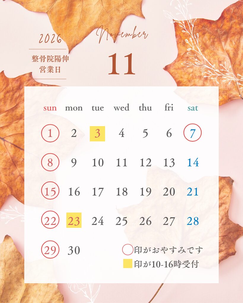 2026年11月 診療スケジュール 1 2026年11月 診療スケジュール
